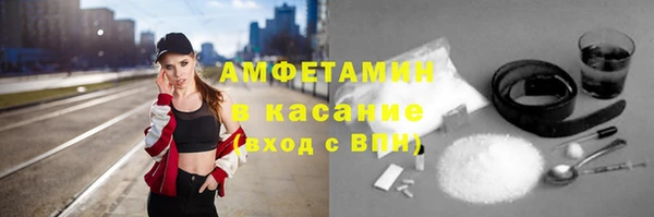 стаф Болотное