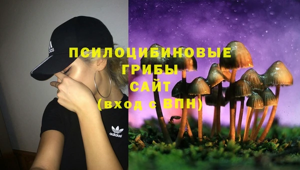каннабис Медвежьегорск