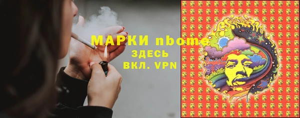 стаф Болотное